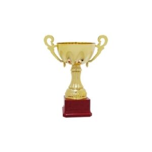 Copa C6