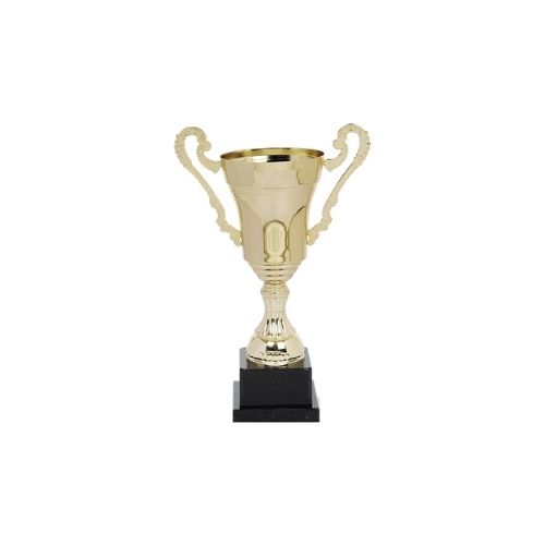Copa CY 2025